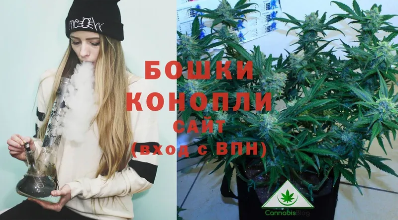 Шишки марихуана OG Kush  Кадников 